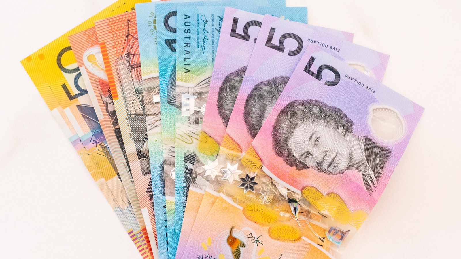 Sea shells by the seashore